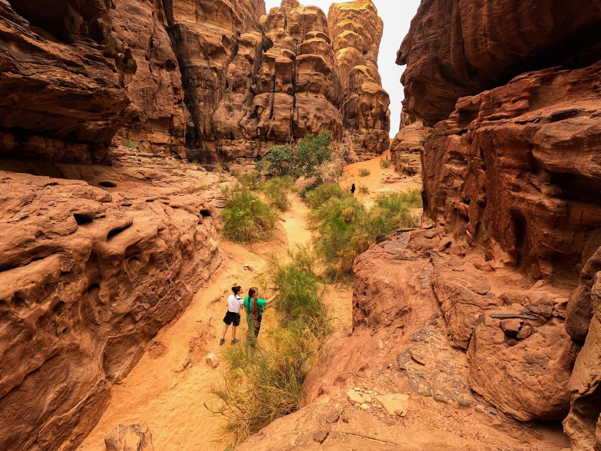 Hotel Stargazing camp&Tours Wadi Rum Esterno foto