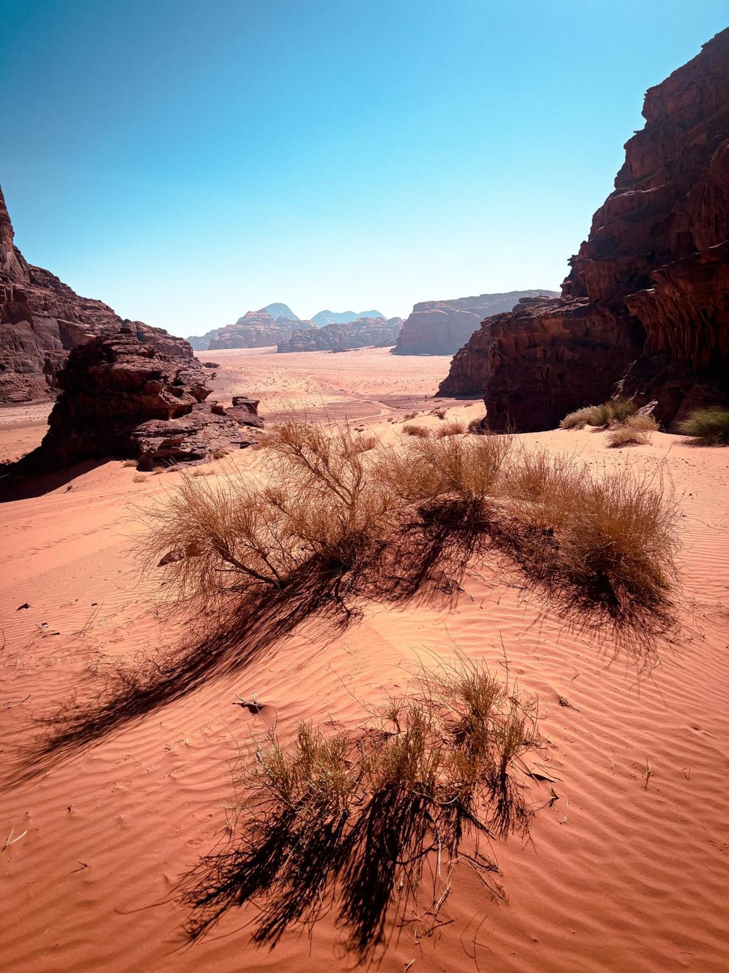 Hotel Stargazing camp&Tours Wadi Rum Esterno foto