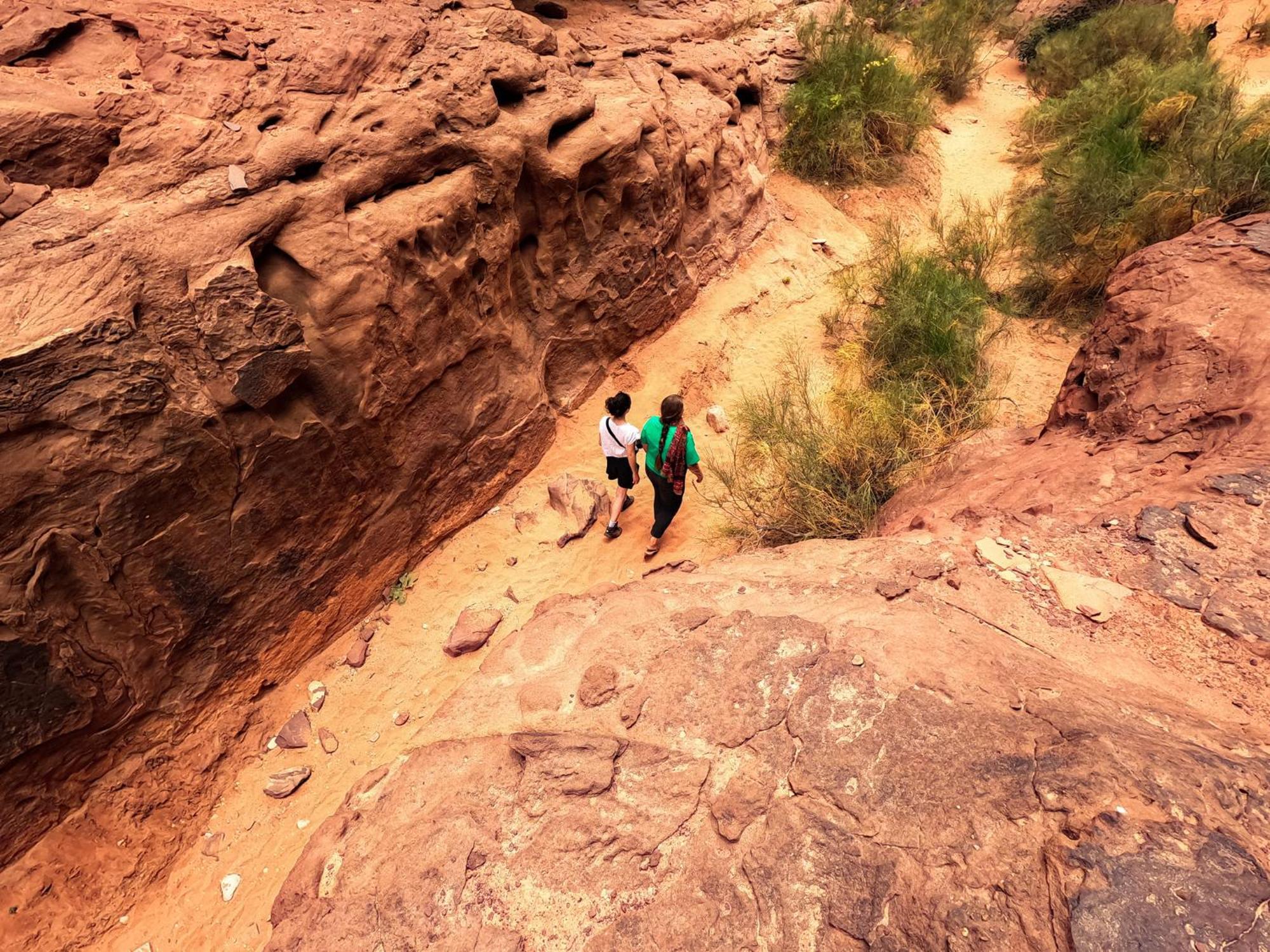 Hotel Stargazing camp&Tours Wadi Rum Esterno foto