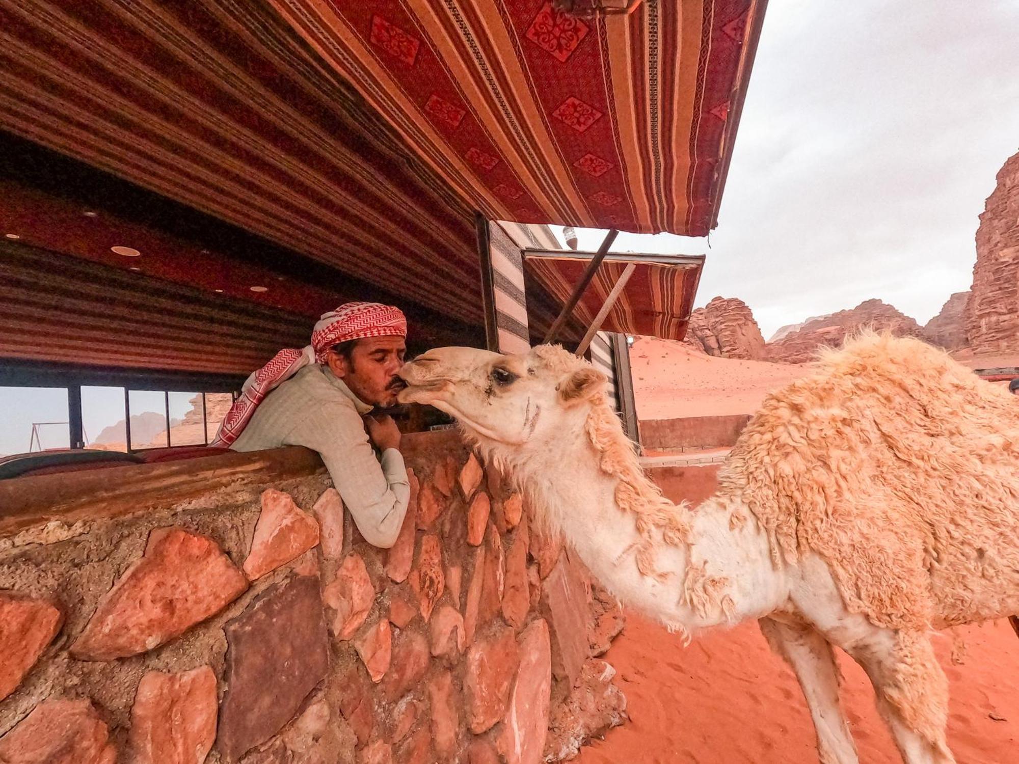 Hotel Stargazing camp&Tours Wadi Rum Esterno foto