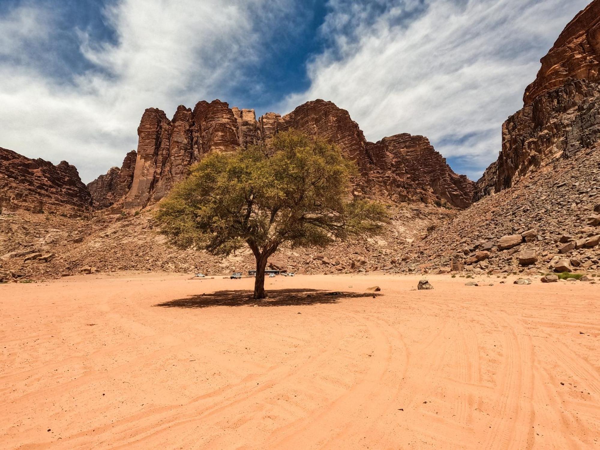 Hotel Stargazing camp&Tours Wadi Rum Esterno foto