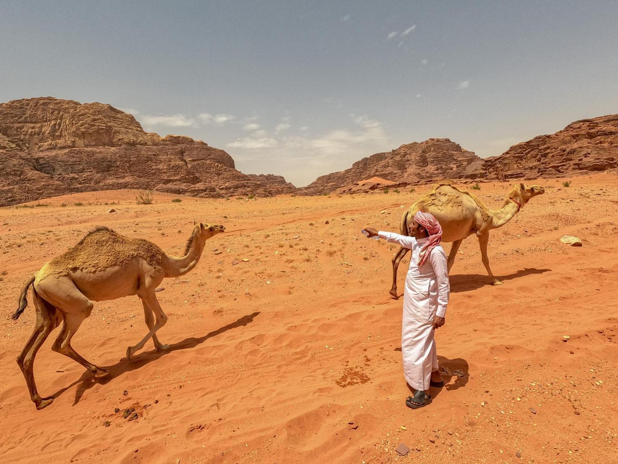 Hotel Stargazing camp&Tours Wadi Rum Esterno foto
