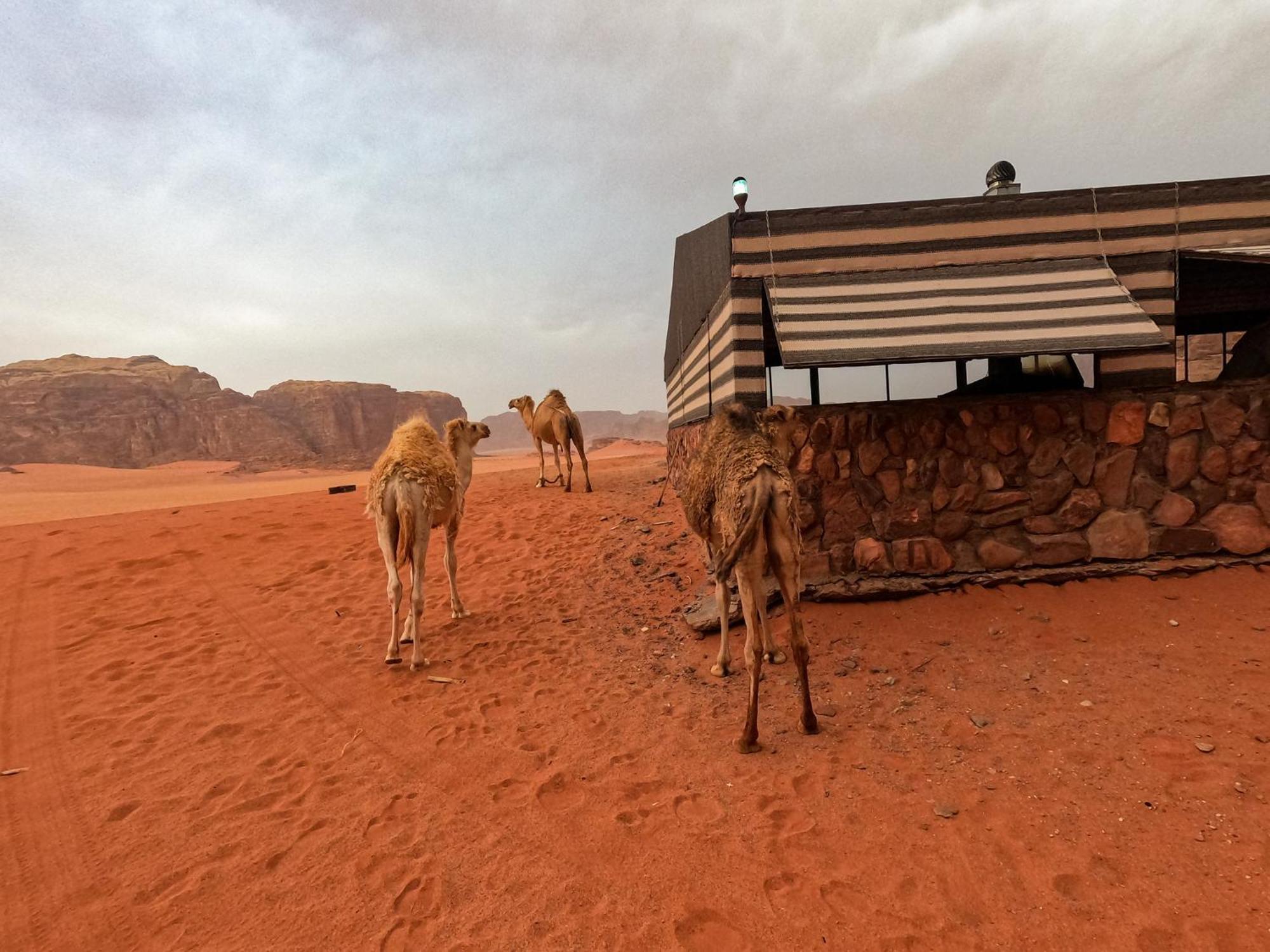 Hotel Stargazing camp&Tours Wadi Rum Esterno foto